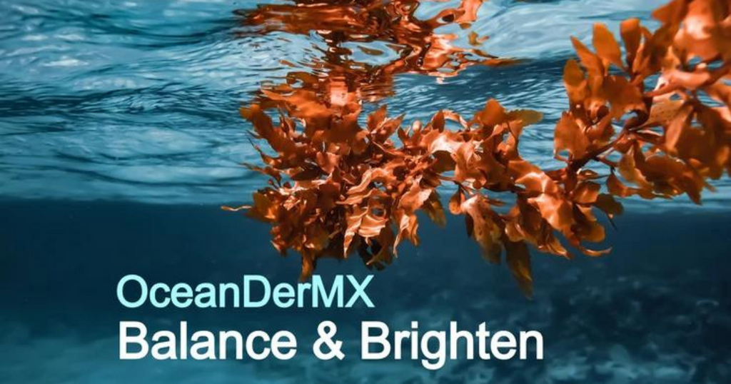 Oceandermx Ingredient Spotlight